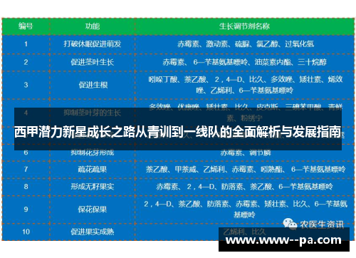 西甲潜力新星成长之路从青训到一线队的全面解析与发展指南