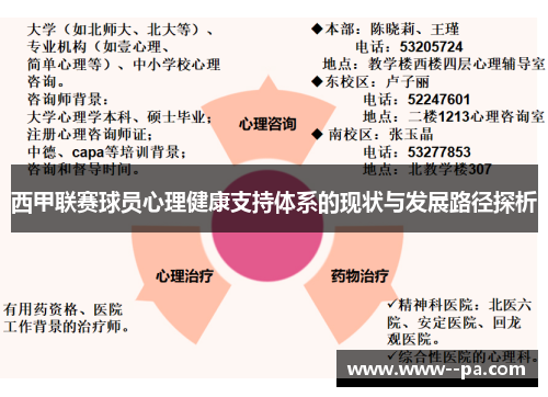 西甲联赛球员心理健康支持体系的现状与发展路径探析 西甲联赛球员心理健康支持体系的现状与发展路径探析