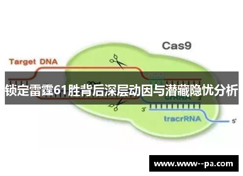 锁定雷霆61胜背后深层动因与潜藏隐忧分析