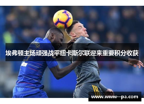 埃弗顿主场顽强战平纽卡斯尔联迎来重要积分收获